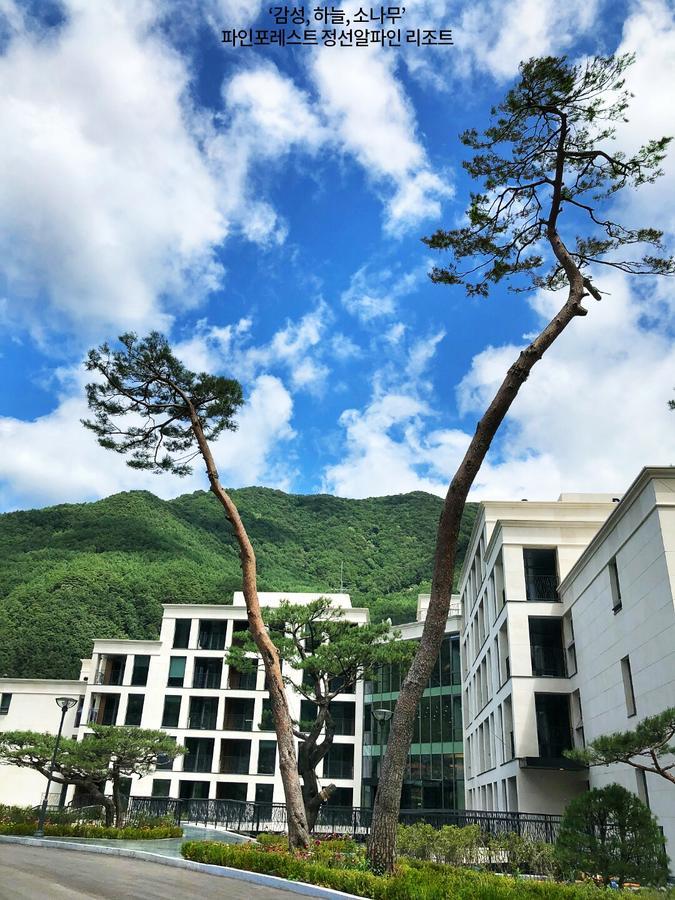Pine Forest Jeongseon Alpine Resort Eksteriør bilde
